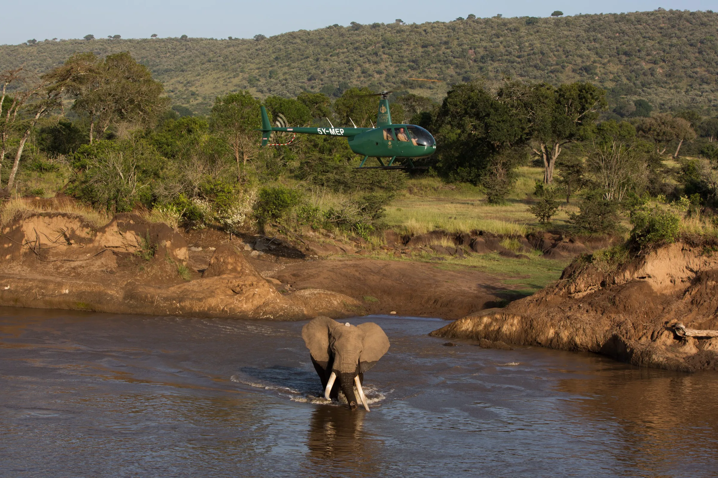 MEP helicopter over Mara River with elephant — conservation operations